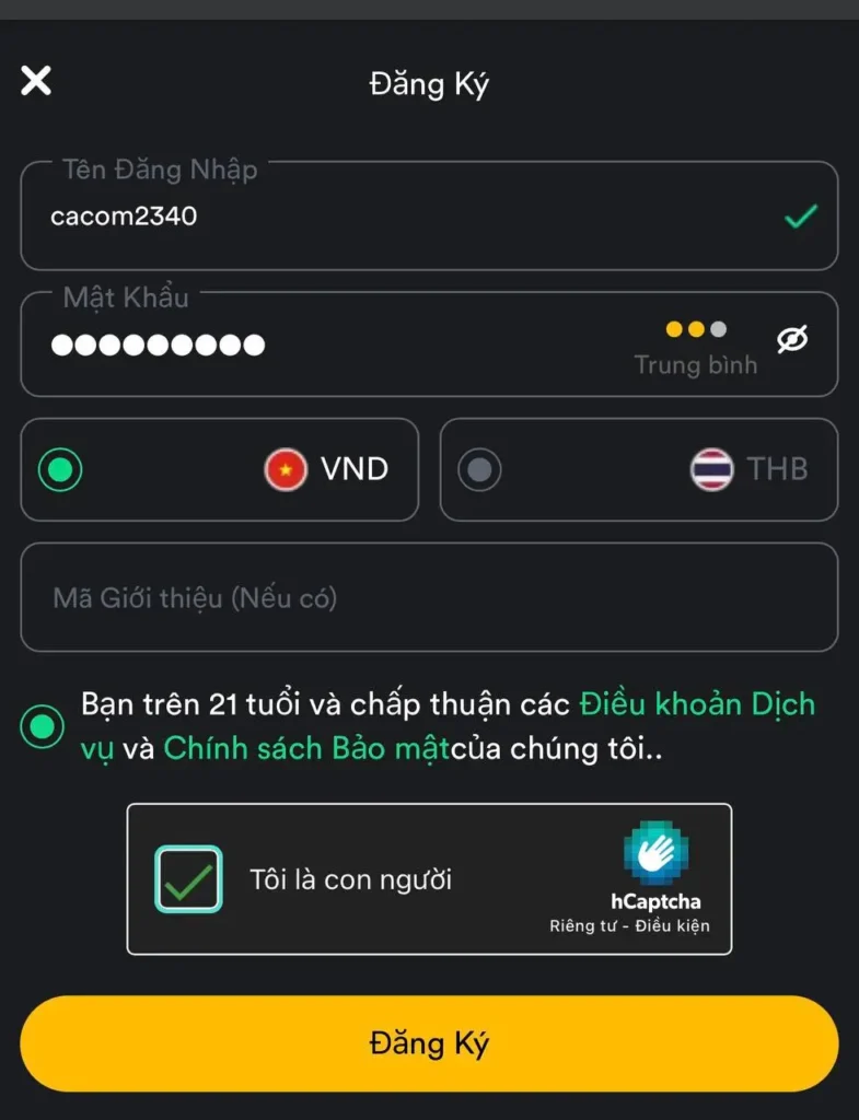 dien-thong-tin-dang-ky-v9bet